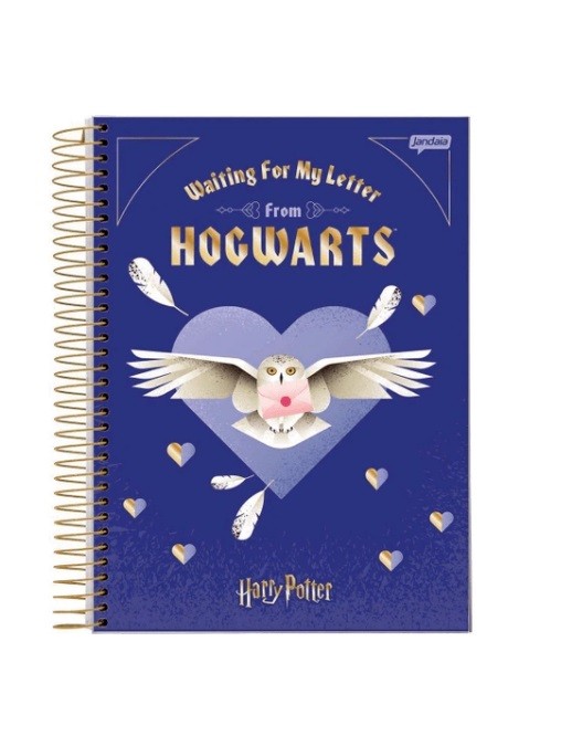 CADERNO COLEGIAL 10MT HARRY POTTER 160 FLS - Imagem: 5