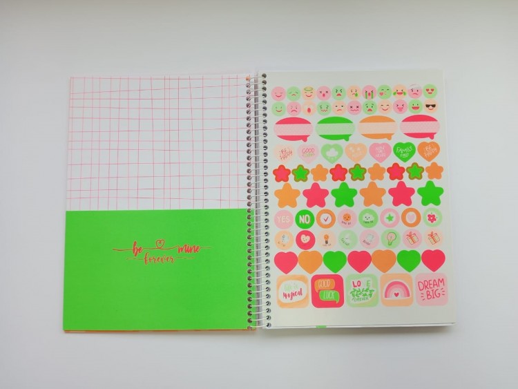 PLANNER PERMANENTE ESPIRAL 80 FOLHAS - BE MINE - Imagem: 6