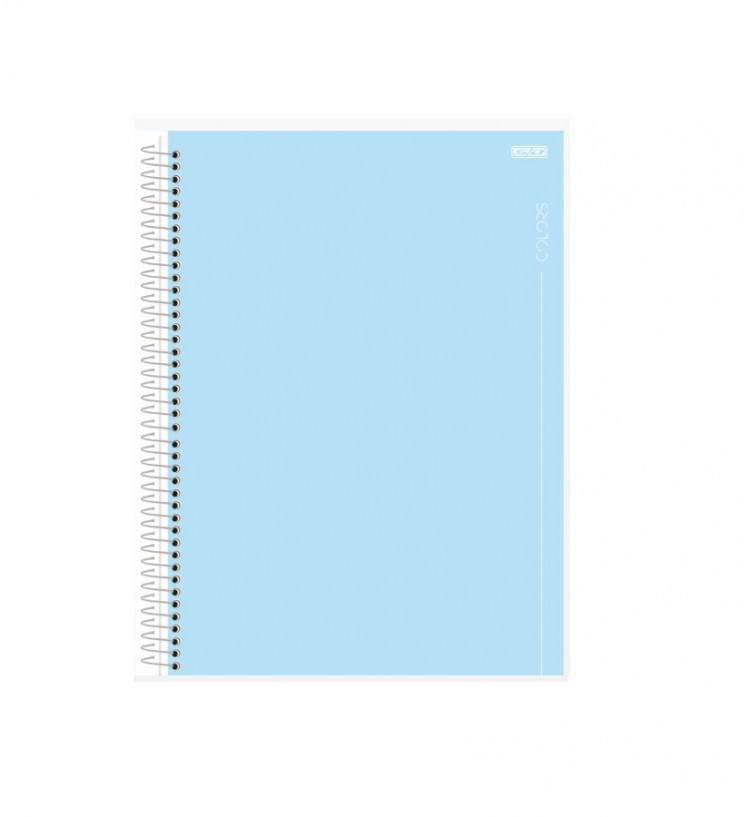 CADERNO BROCHURAO C.D. COLORS 80 FLS 2024 - Imagem: 2