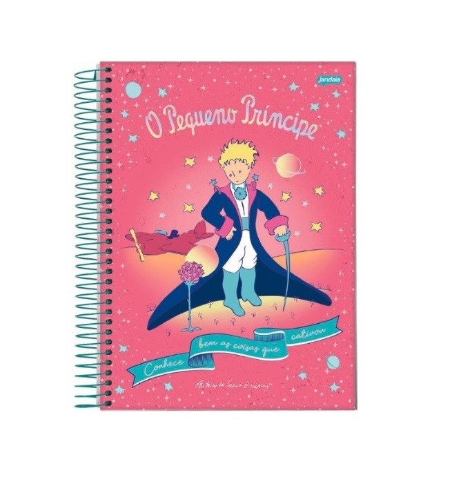 CADERNO 1 MATÉRIA O PEQUENO PRÍNCIPE JANDAIA - Imagem: 2