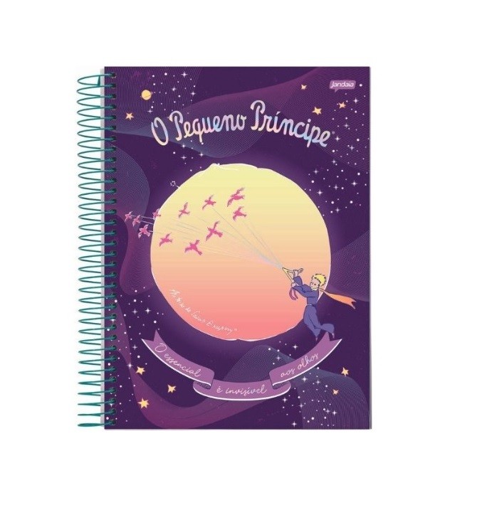 CADERNO 1 MATÉRIA O PEQUENO PRÍNCIPE JANDAIA - Imagem: 5