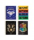 CADERNO COLEGIAL 10MT HARRY POTTER 160 FLS - Imagem: 1