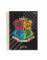 CADERNO COLEGIAL 10MT HARRY POTTER 160 FLS - Imagem: 4