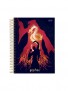 CADERNO 1MT HARRY POTTER 96FLS - Imagem: 9