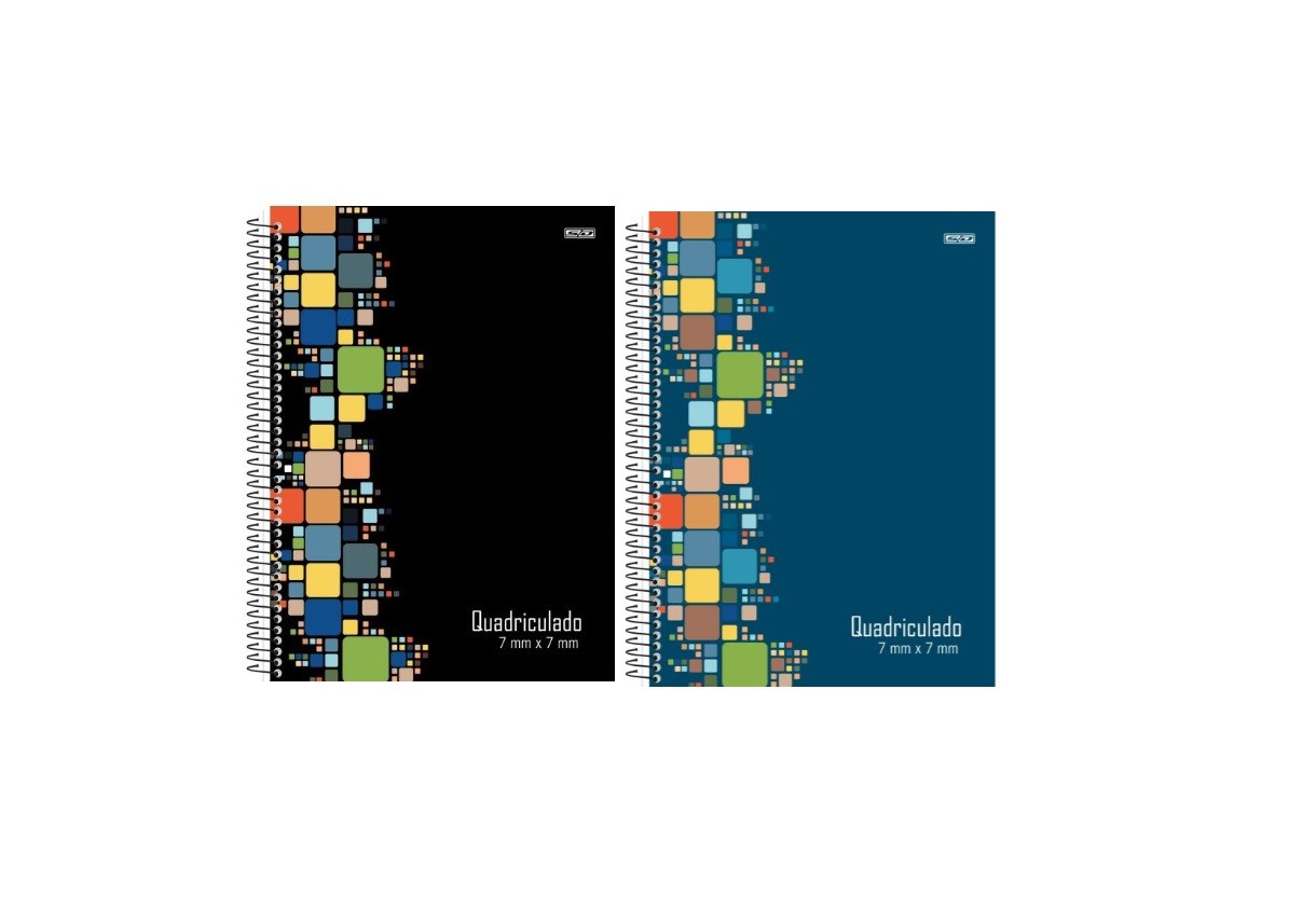 CADERNO QUADRICULADO 1MT S. DOMINGOS 80 FLS