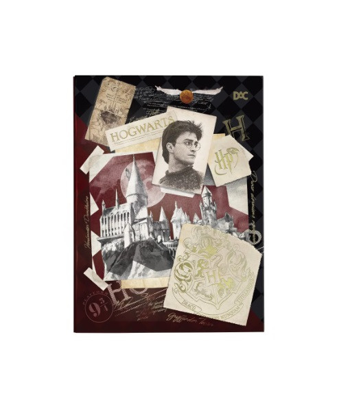 PASTA CATALOGO DAC C/10 PLASTICOS HOGWARTS