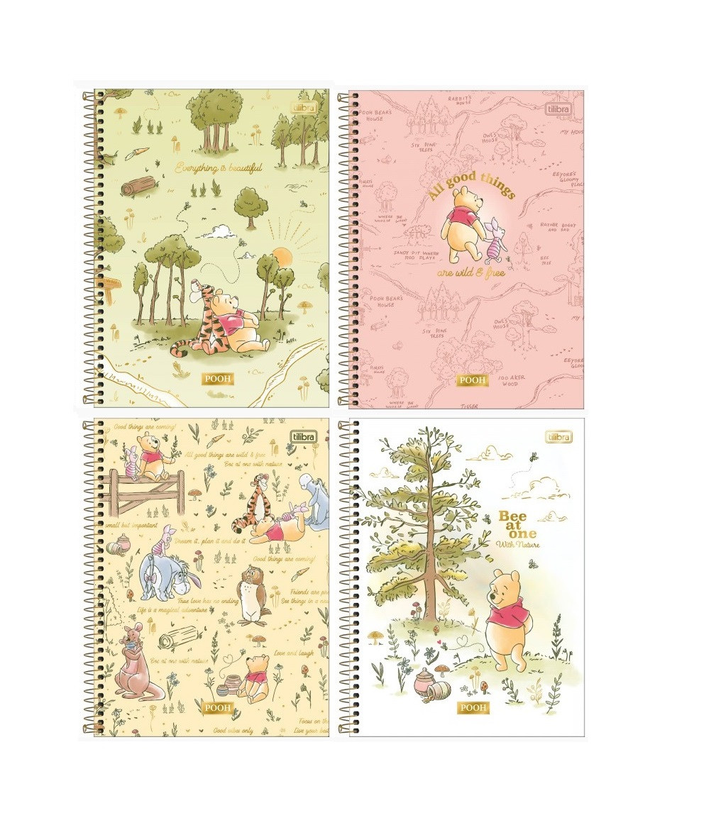 CADERNO 1MT POOH 80FLS